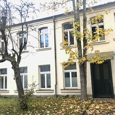 Wohlfuehl-Oase Mitten In Der Stadt - Garten, Grill, Netflix Und Drucker Apartment Лайпциг Екстериор снимка